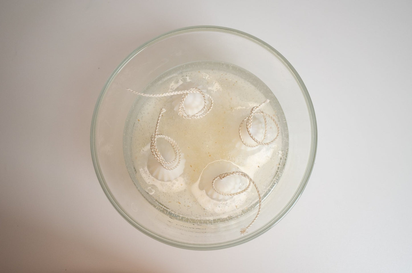 Boreal Forest Winter Candle – Soy & Jelly Wax with Mini Christmas Tree Toppers (24 oz) - Candles Co.